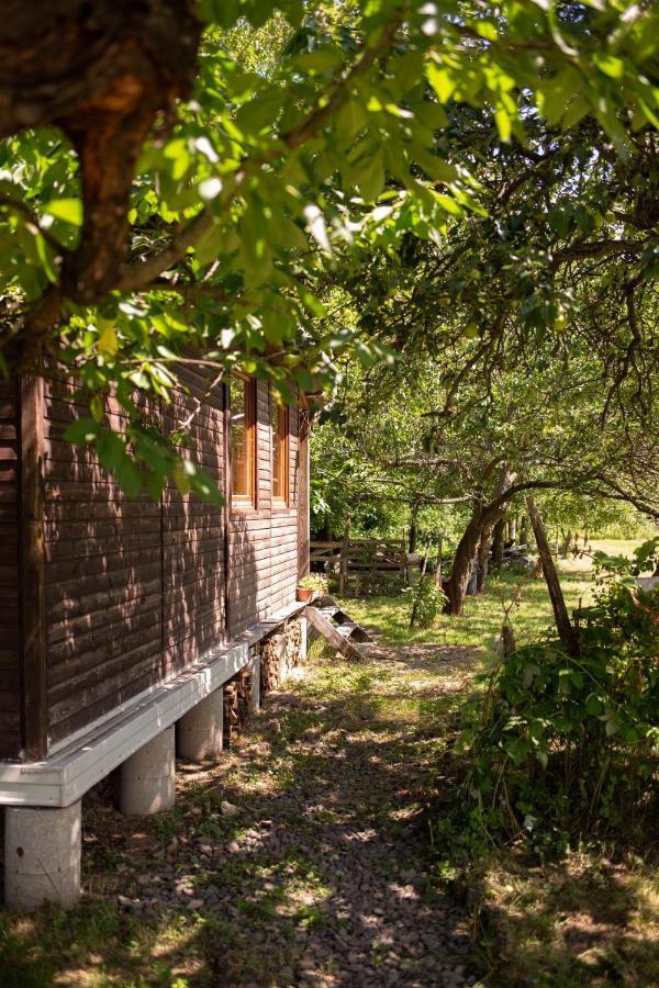 Barna Faház Apartamento Tarnaszentmaria Exterior foto